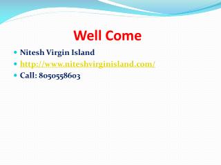 Nitesh Virgin Island