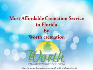 Most Affordable Cremation Service in Florida