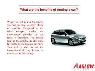 What are the benefits of renting a car?