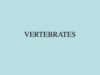 VERTEBRATES