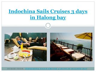 Indochina Sails Cruise 3 Days in Halong bay
