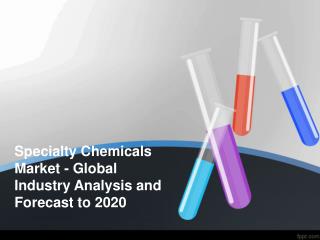 Global Specialty Chemicals Market Share,Size Analysis