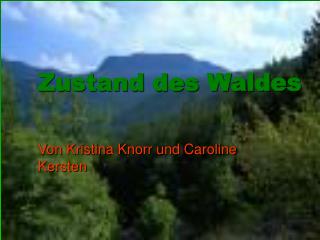 Zustand des Waldes