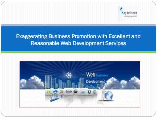 Business Promotion with Excellent and Reasonable Web Develop