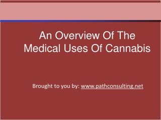 An Overview Of The Medical Uses Of Cannabis