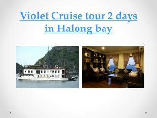 Halong Violet Cruise 2 days in Halong bay