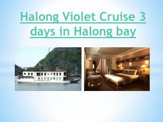 Halong Violet Cruise 3 days in Halong bay