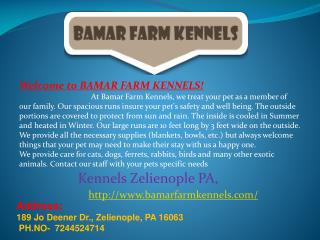 Kennels, Dog, Cat Boarding and Pet Grooming Zelienople PA