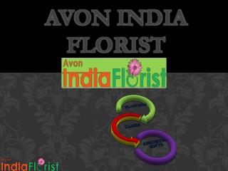 Avon India Florist