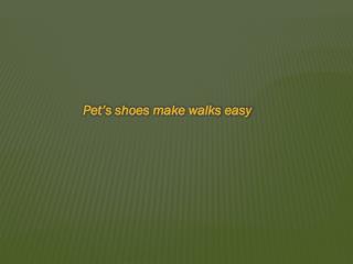 Pet’s shoes make walks easy