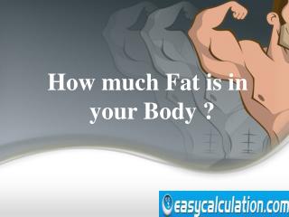 Body Fat Percentage