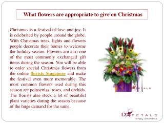 What flowers are appropriate to give on Christmas