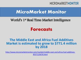 The Middle East and Africa Fuel Additives Market