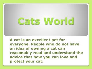 Cats World