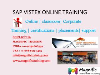 SAP VISTEX ONLINE TRAINING IN AUSTRALIA