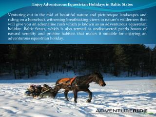 Enjoy Adventurous Equestrian Holidays in Baltic States