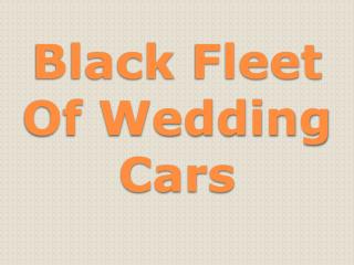 Black Fleet Of Wedding Cars