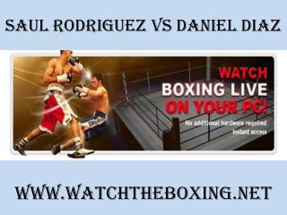 watch Saul Rodriguez vs Daniel Diaz 7 February 2015 online