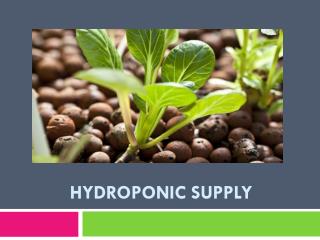 Hydroponic Supply