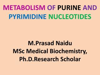 NUCLEOTIDE METABOLISM