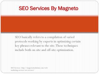 SEO services by Magneto IT solutions