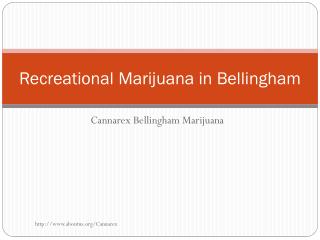 Recreational Marijuana in Bellingham
