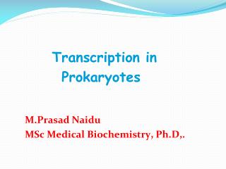 PROKARYOTIC TRANSCRIPTION