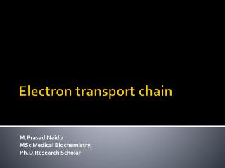 ELECTRON TRANSPORT CHAIN