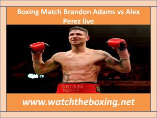 how to watch Brandon Adams vs Alex Perez live boxing