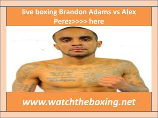 live boxing fight Brandon Adams vs Alex Perez 13 february 20