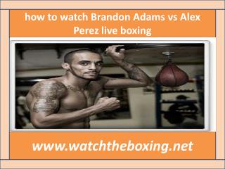 Brandon Adams vs Alex Perez boxing sports @@@@}}} live