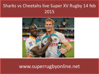 Sharks vs Cheetahs live Coverage on 14 feb 2015