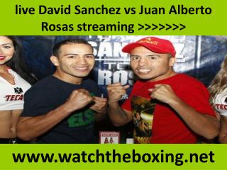 boxing Sanchez vs Rosas live coverage