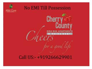 ABA Corp Cherry County Greater Noida