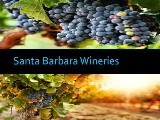 Santa Barbara Wineries