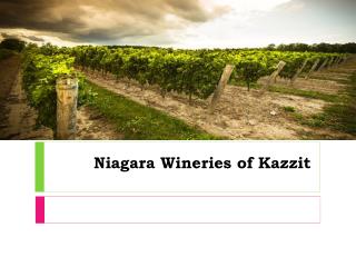 Niagara Wineries of Kazzit