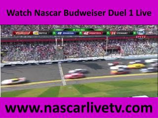 Budweiser Duel 1 Live Streaming