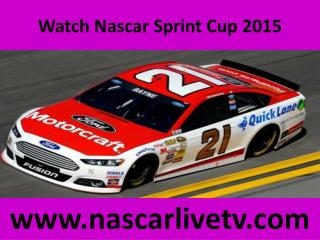 Budweiser Duel 1 Live Broadcast