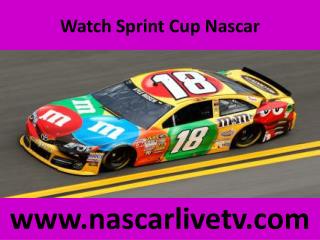 Live Nascar Budweiser Duel 1 19 feb 2015