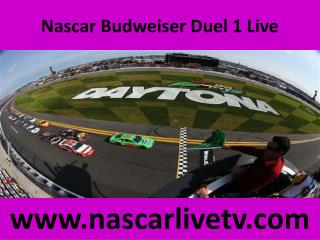 Watch Nascar Budweiser Duel 1