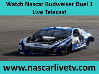 Watch Nascar Sprint Cup Online