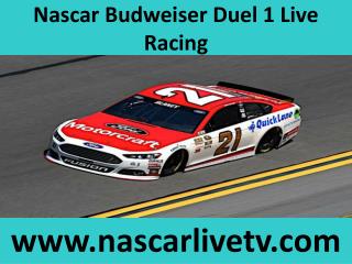 nascar live