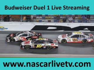 Watch Nascar Online Budweiser Duel 1 Sprint Cup 19 feb 2015