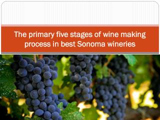 The primary five stages of wine making process in best Sonom