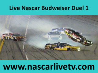 Online Nascar Budweiser Duel 1