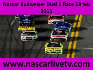 Nascar Online Budweiser Duel 1