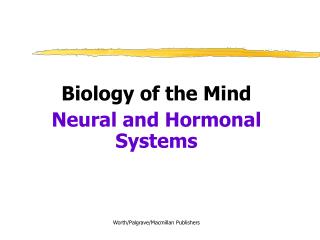 Biology of the Mind Neural and Hormonal Systems Worth/Palgrave/Macmillan Publishers