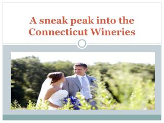 A sneak peak into the Connecticut Wineries