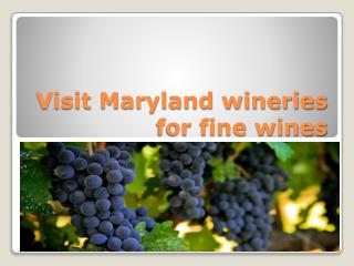 Visit Maryland wineries for fine wines