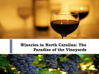 Wineries in North Carolina The Paradise of the Vineyards